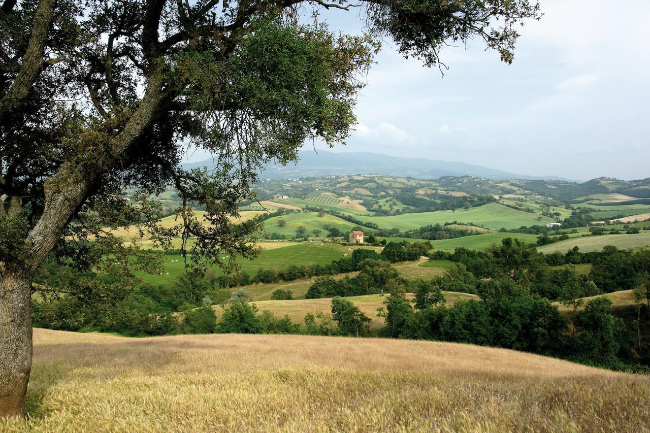 Agriturismo Le Calle Lägenhet Cinigiano Exteriör bild