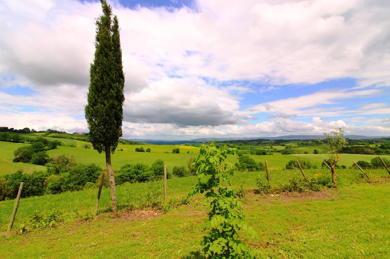 Agriturismo Le Calle Lägenhet Cinigiano Exteriör bild