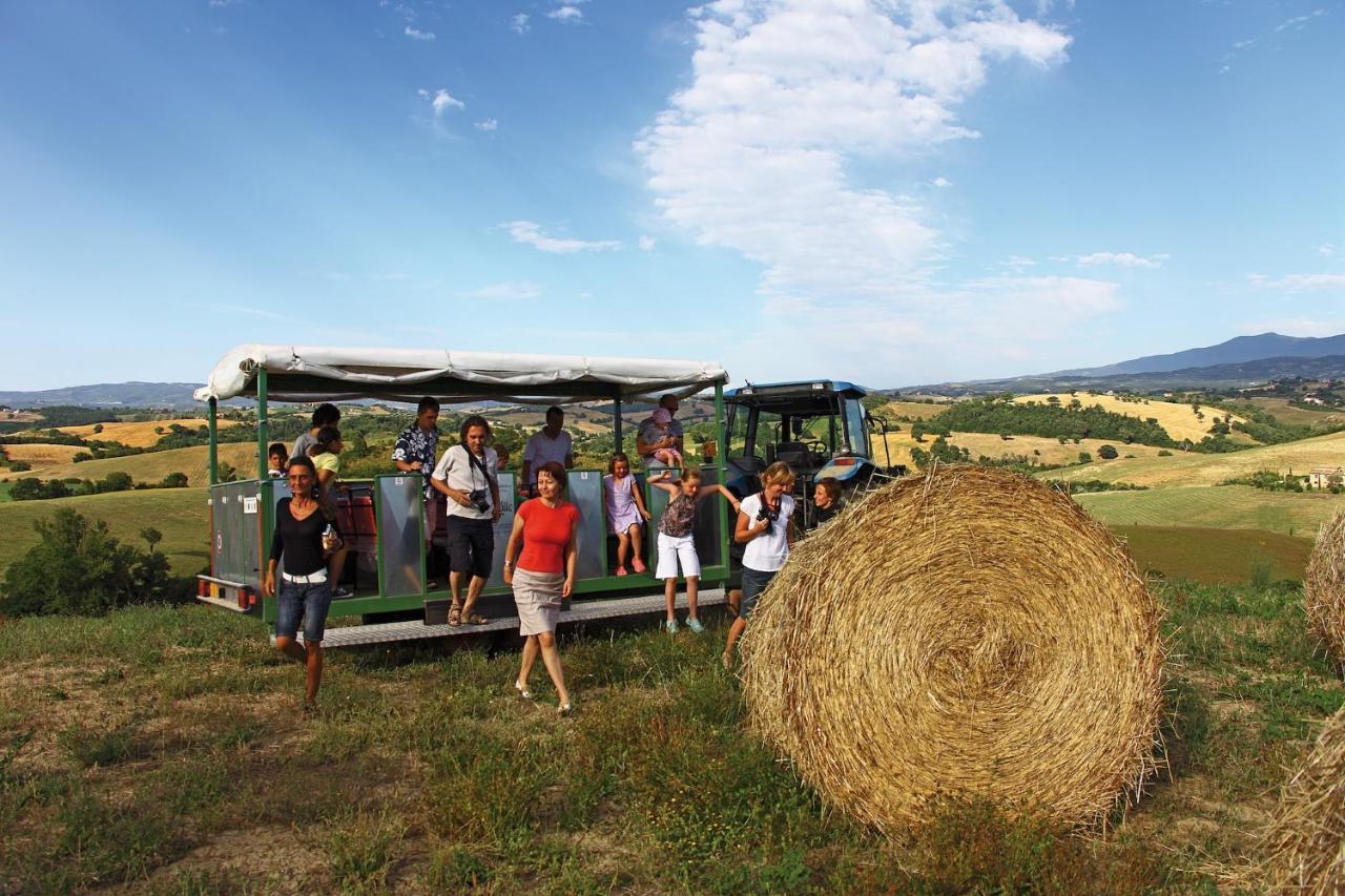 Agriturismo Le Calle Lägenhet Cinigiano Exteriör bild