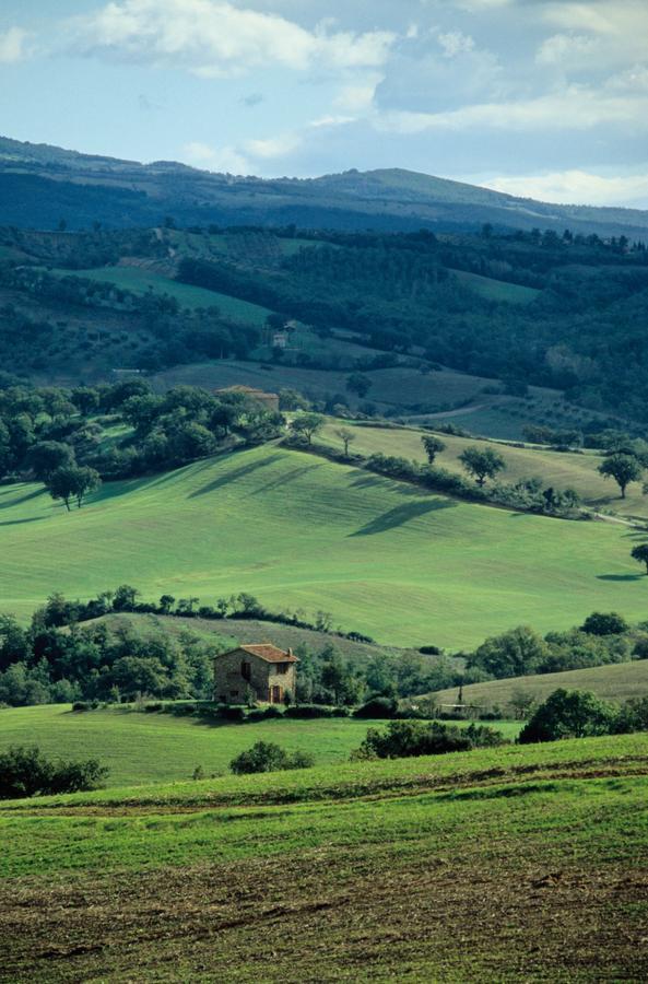 Agriturismo Le Calle Lägenhet Cinigiano Exteriör bild